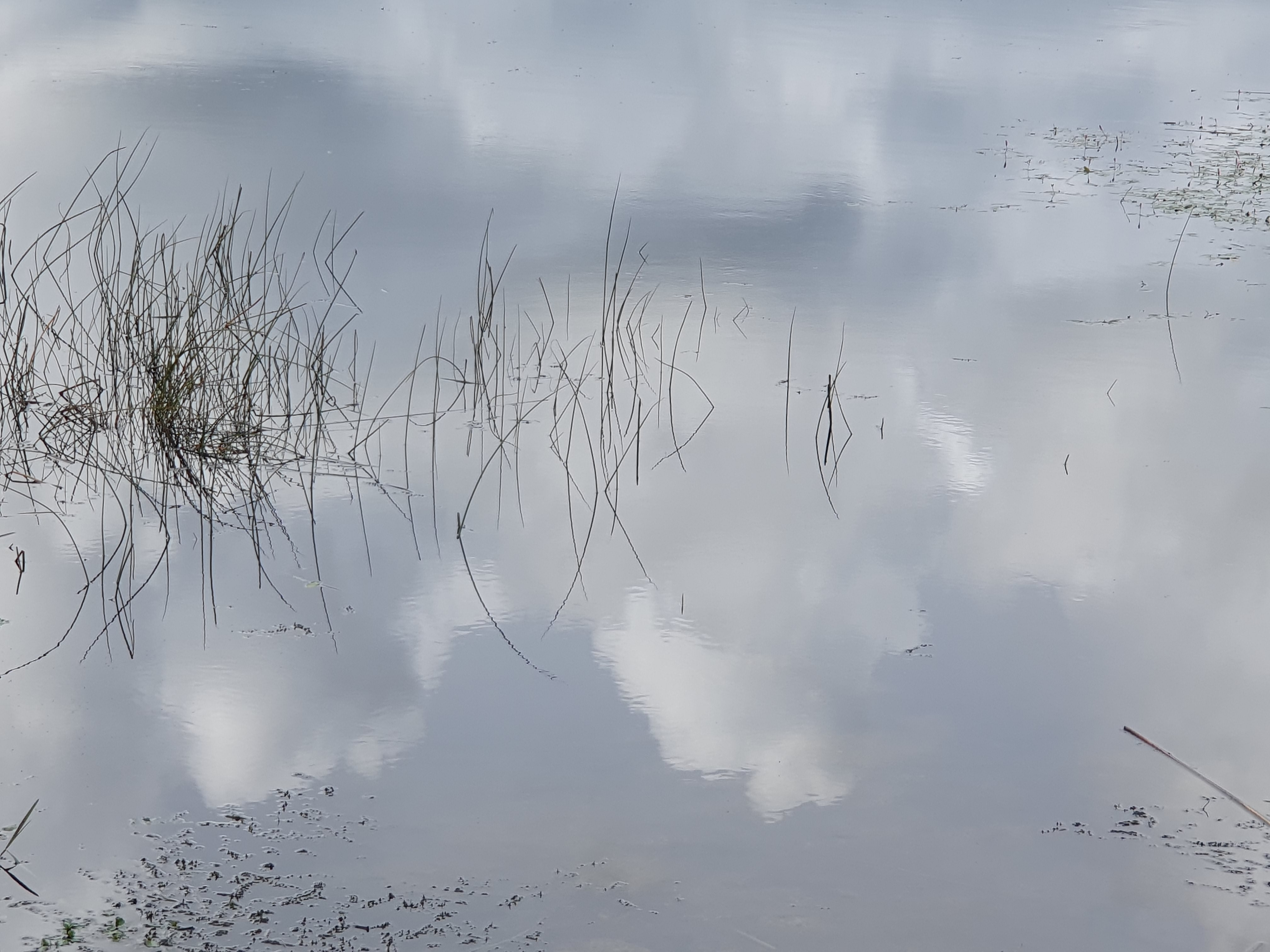nuage en reflet