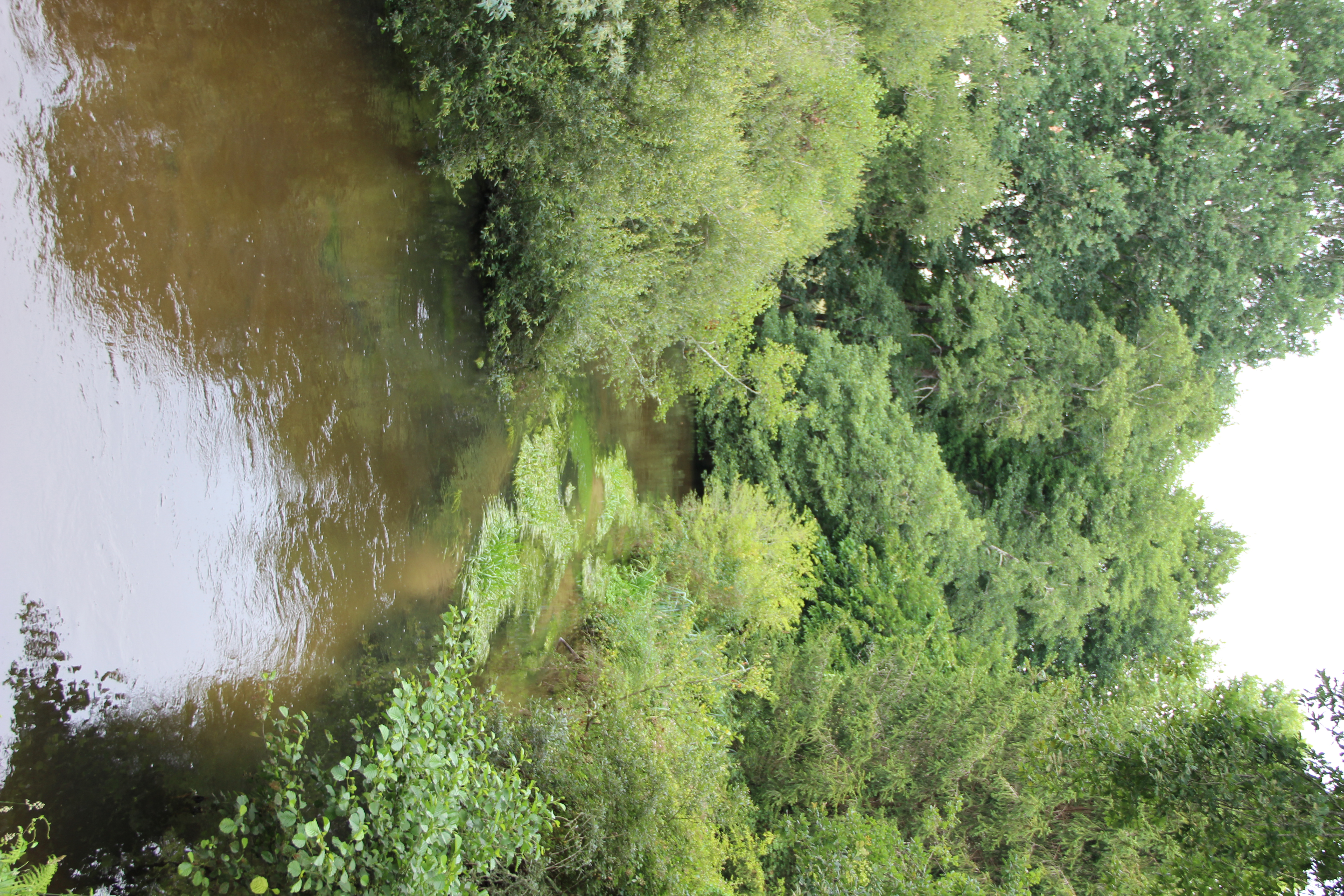 "Le Courlis" petite Amazonie locale