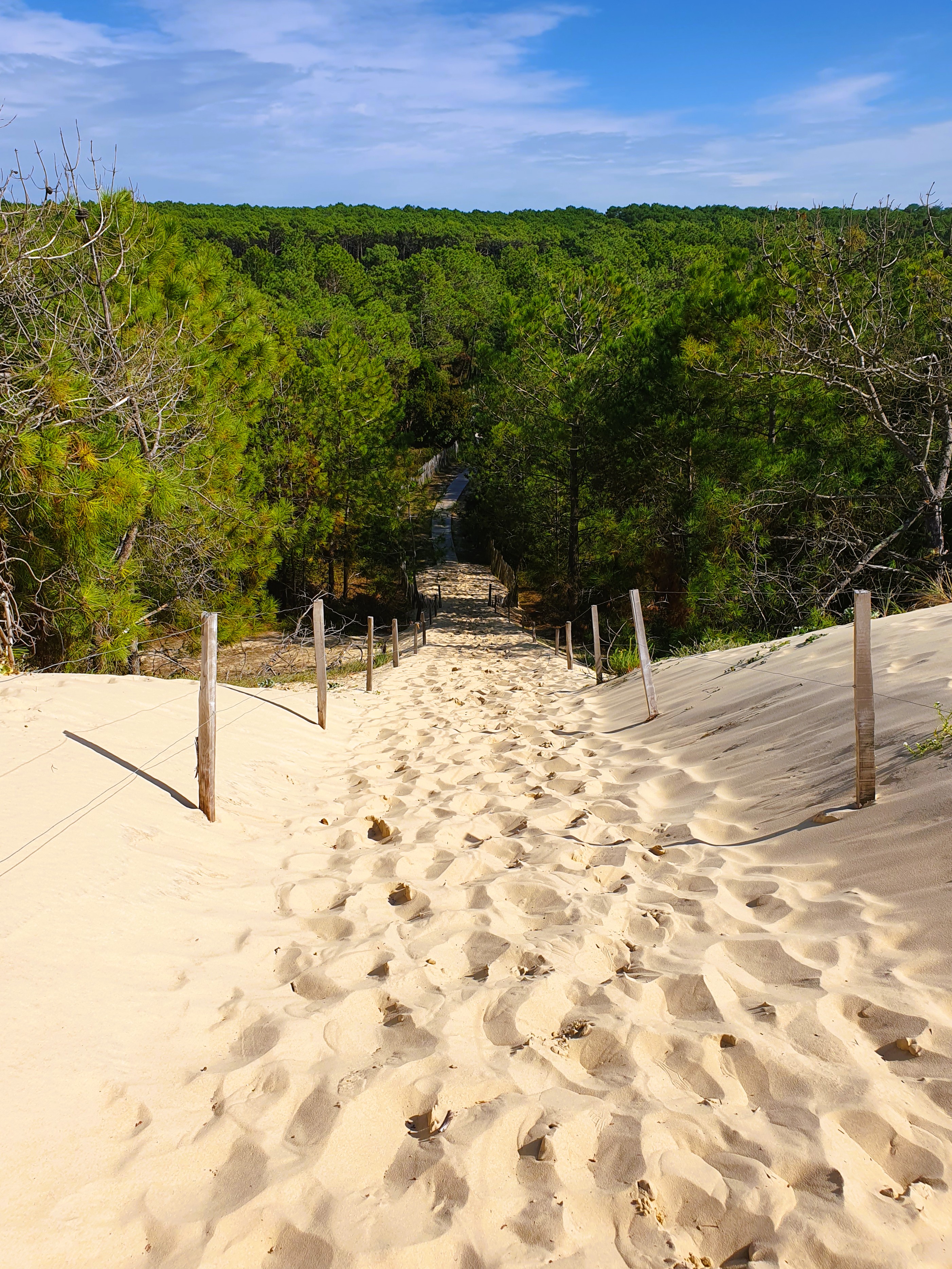 Vue coté forêt