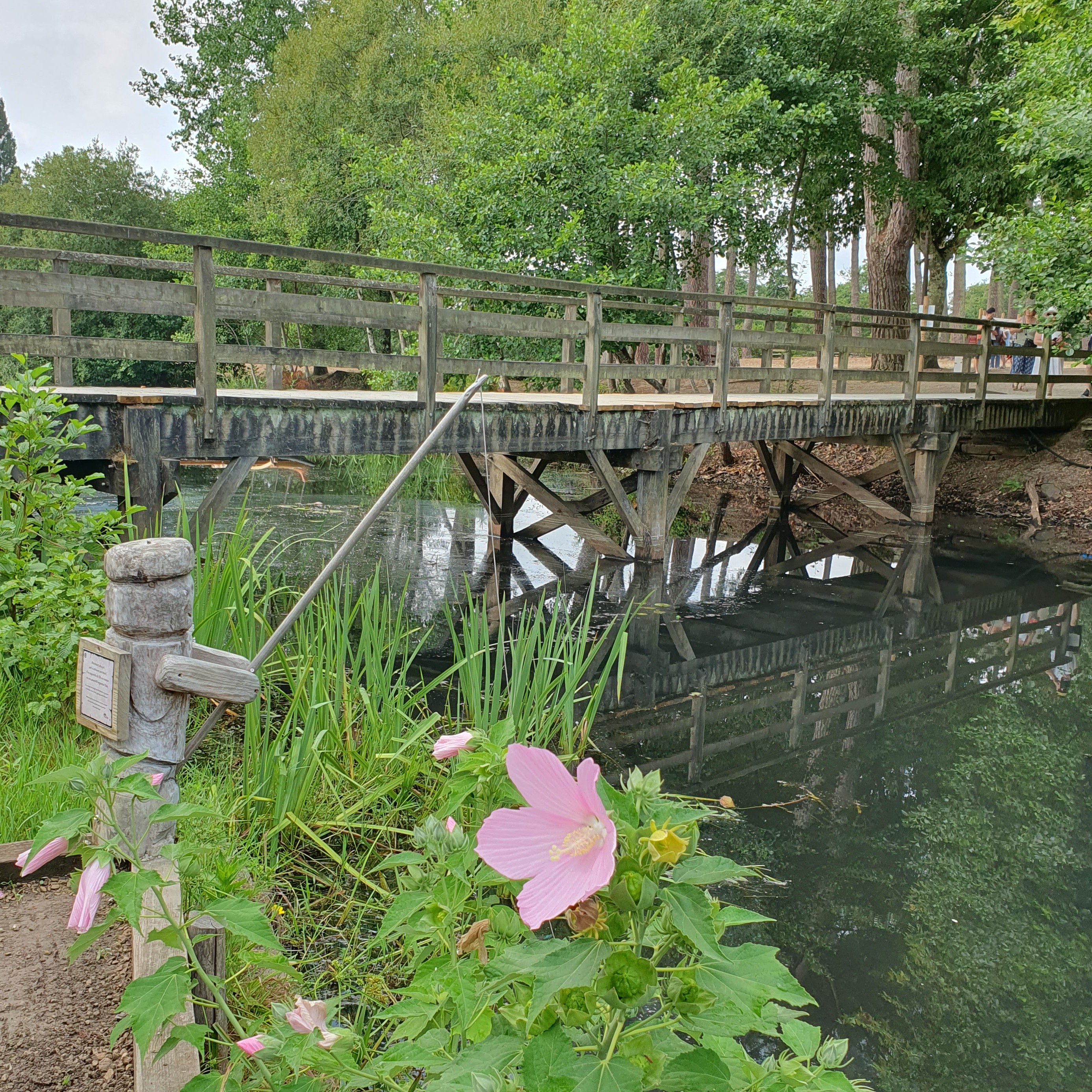 Belle pêche fleurie 😍🌺